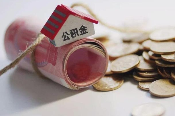 苍南公积金找黄牛几天能批下来（公积金找黄牛几天能批下来啊）